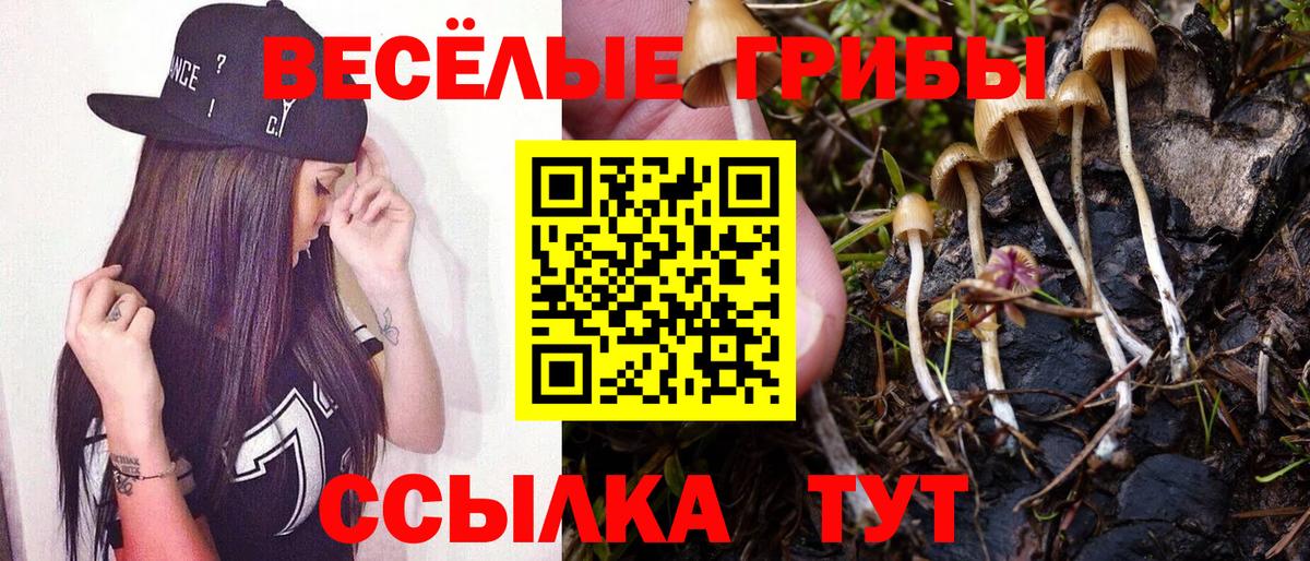 Галлюциногенные грибы прущие грибы  Галлюциногенные грибы прущие грибы  Волгоград  Вход с VPN 